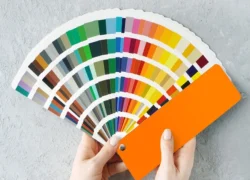 color customization